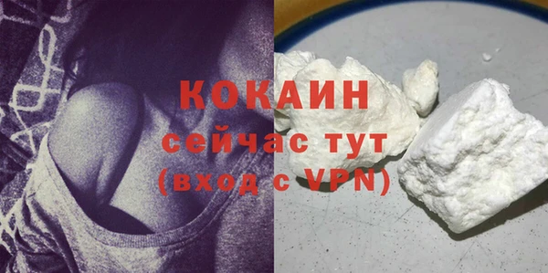 a pvp Ельня