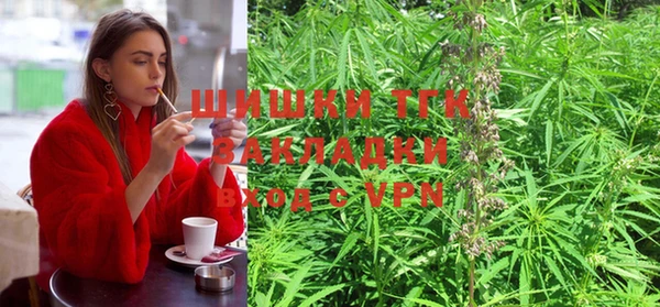 a pvp Ельня