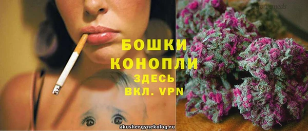 a pvp Ельня