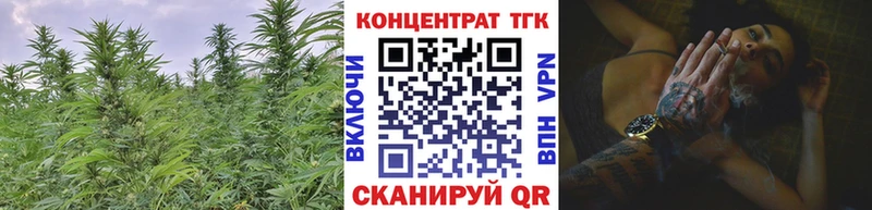 Купить где  Сурск  ТГК концентрат 