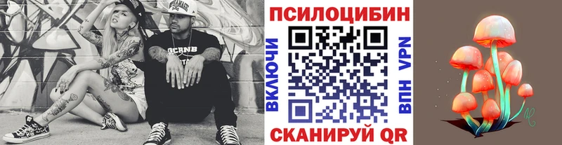 Купить  Сурск  Галлюциногенные грибы Psilocybe 